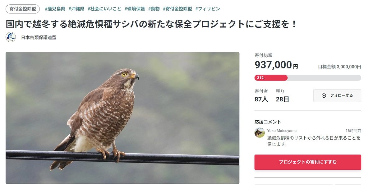 【日本鳥類保護連盟】絶滅危惧種サシバの保全プロジェクトを応援します！