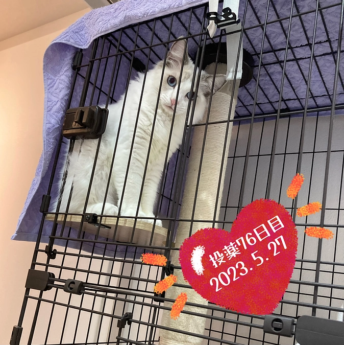 投薬７６日目(2023.5.27)&ご支援のお知らせ