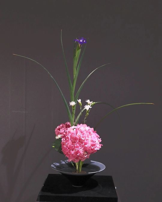 エントリーナンバーA04