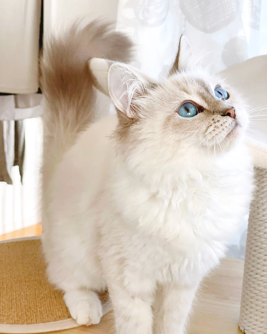 【来年は良い年になりますように🫶みんなが健康ですごせますように】