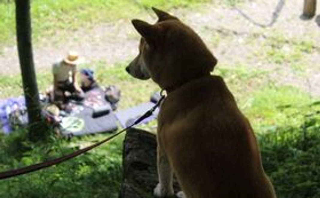 ご支援感謝のメール＆活動報告書　１