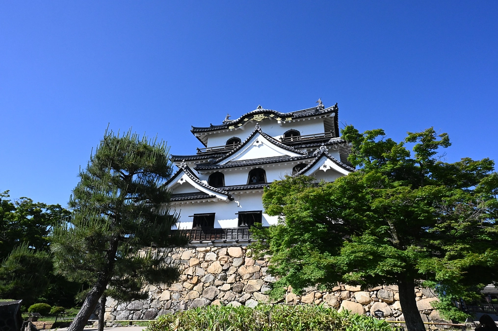 “国宝”なのにクラファン？彦根城が寄付を募る理由【前編】ー なぜ財政が厳しいのか