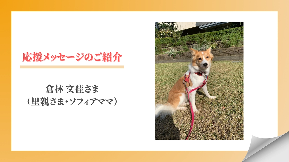 【メッセージリレー#5】倉林 文佳さま  （里親さま・ソフィアママ）