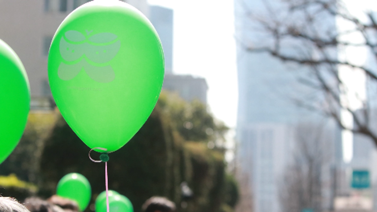 第6回口頭弁論が開かれました🌿