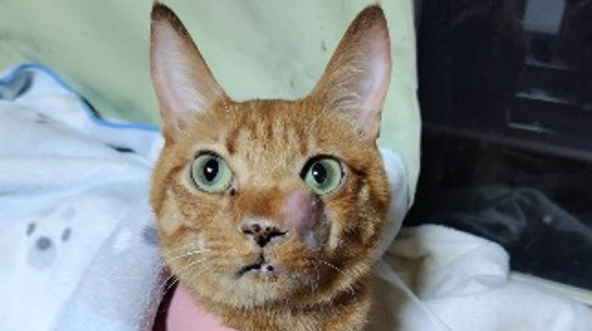 8/21の明細書です