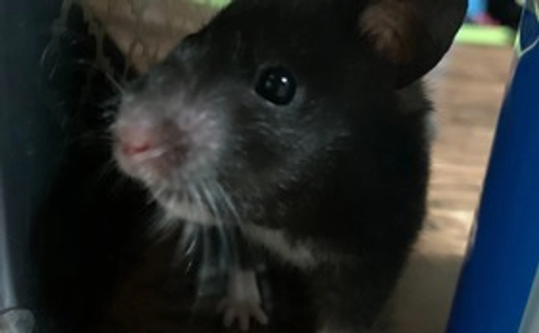 活動報告・写真