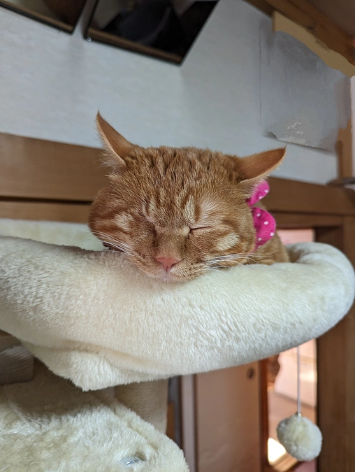 当たり前のこと