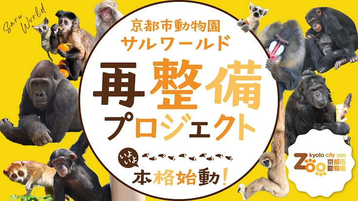 京都市動物園｜人と動物が共に生きる未来へ。サルワールド再整備、始動 - クラウドファンディング READYFOR