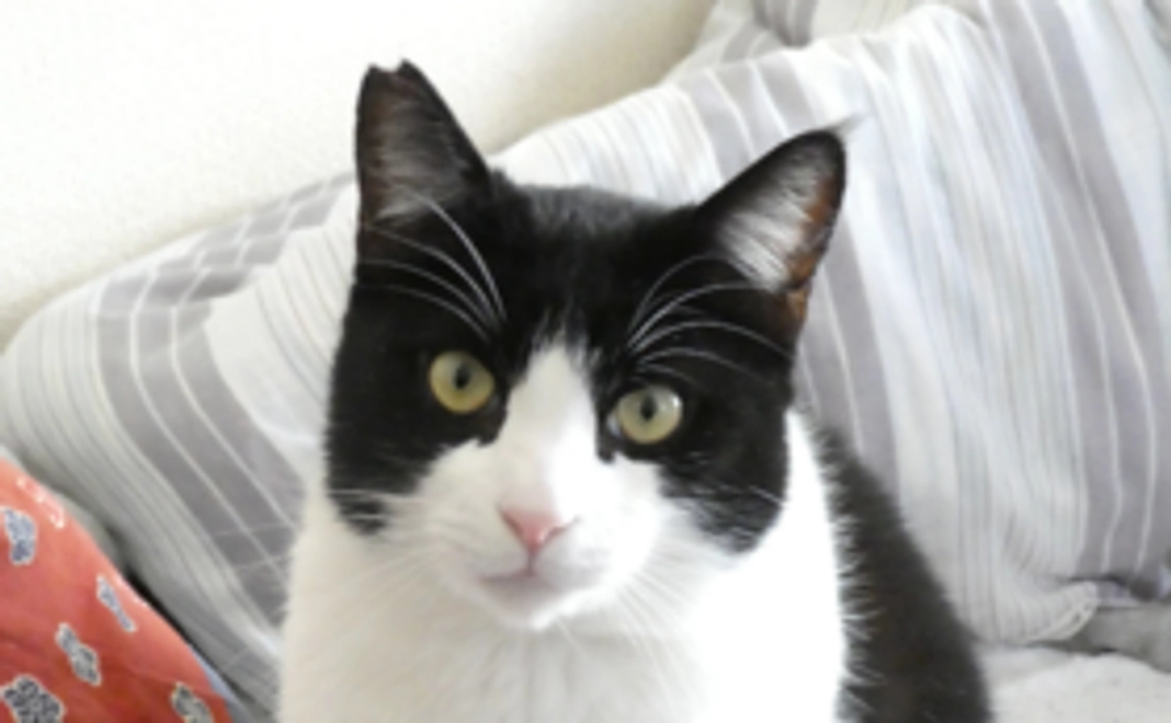 天ちゃんの写真(1枚)