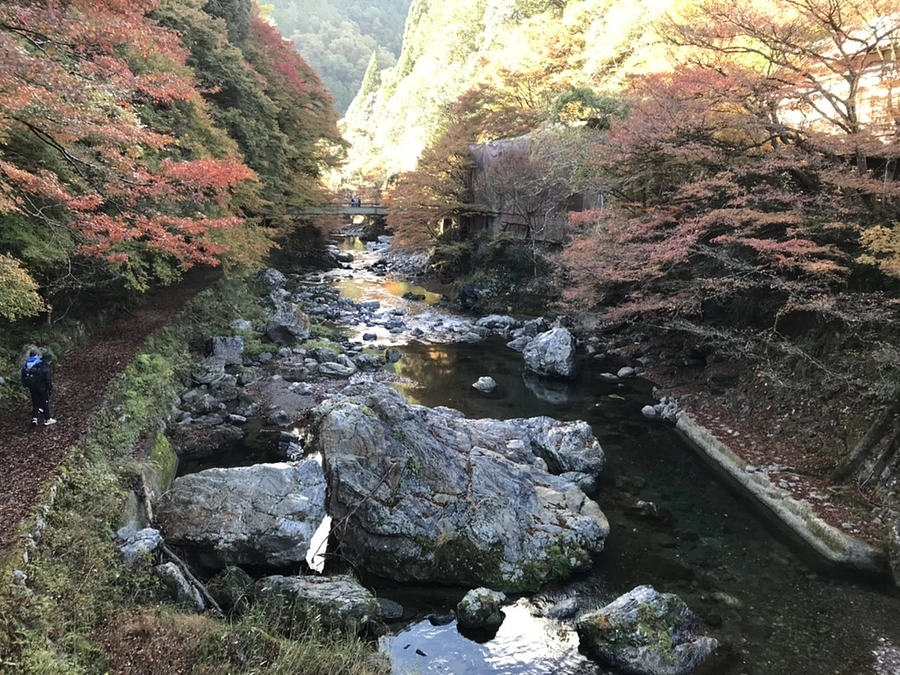 秋の京都・西山エリアをトレッキングしてきました！