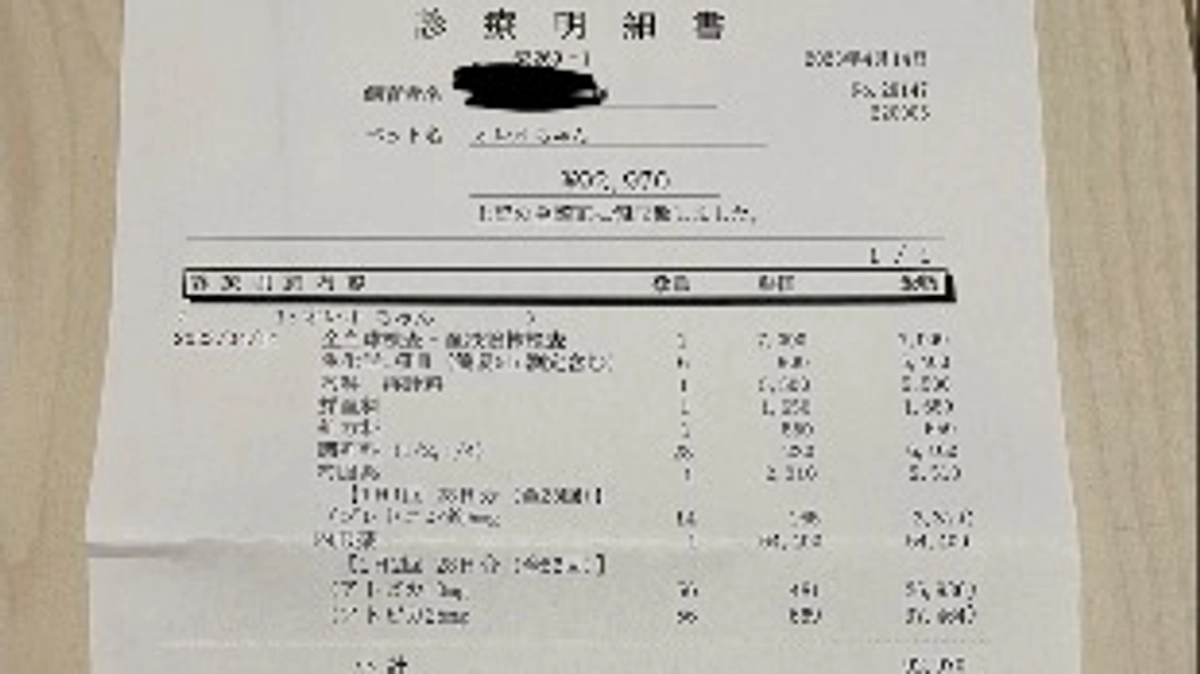 ２月〜4月の明細まとめ
