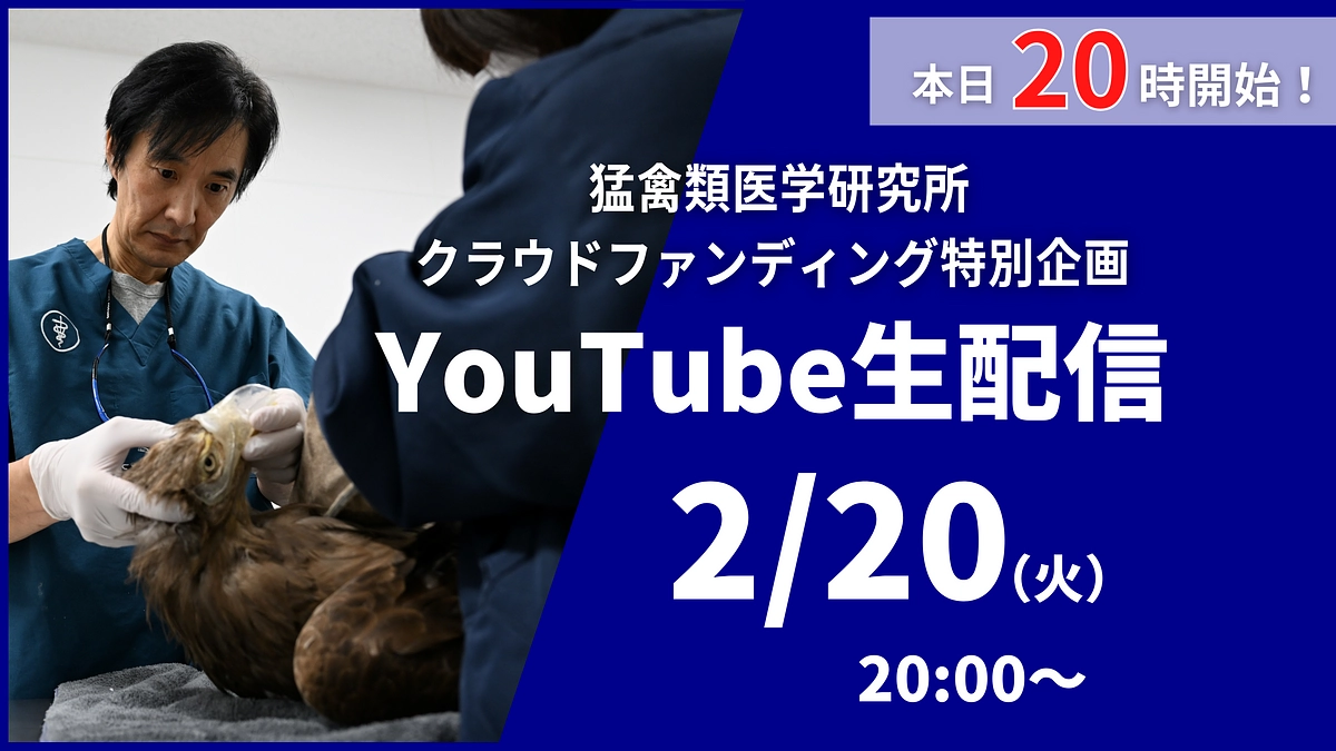 【本日20時から！ YouTube生配信】特別企画をお見逃しなく！