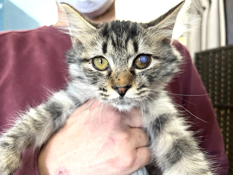 2023年11月　活動報告