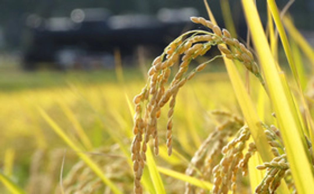 ★無料相談や安心の北海道産お米をお届けします★