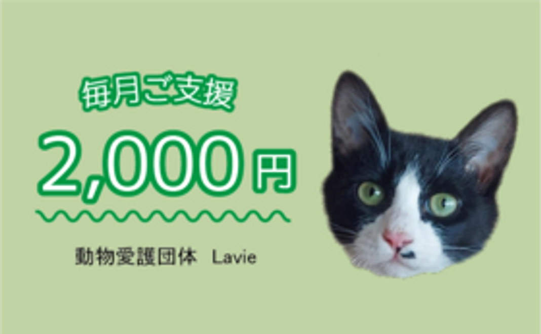 毎月ご支援　2,000円コース