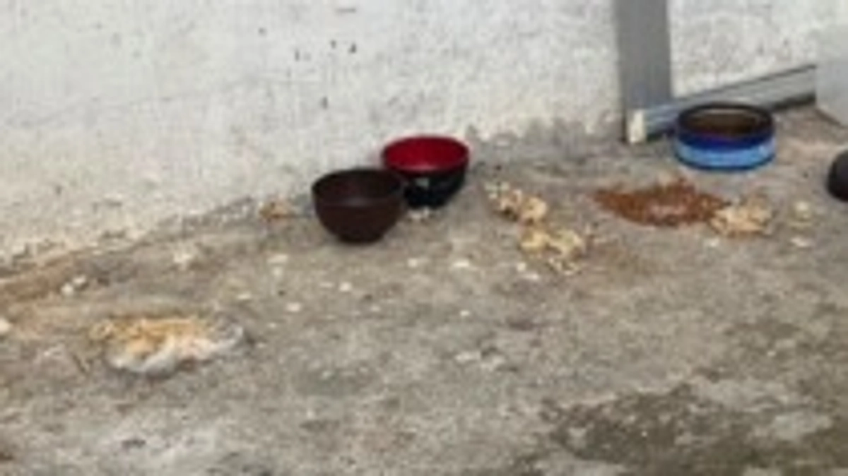 動物愛護の日がスタートの日　でも…やっぱり