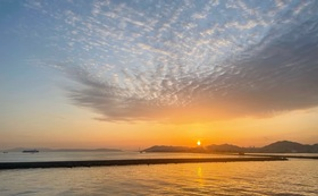 【リターン不要の方向け】活動報告書をお送りします！