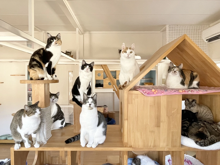 【活動報告】２０２３～２０２４年度