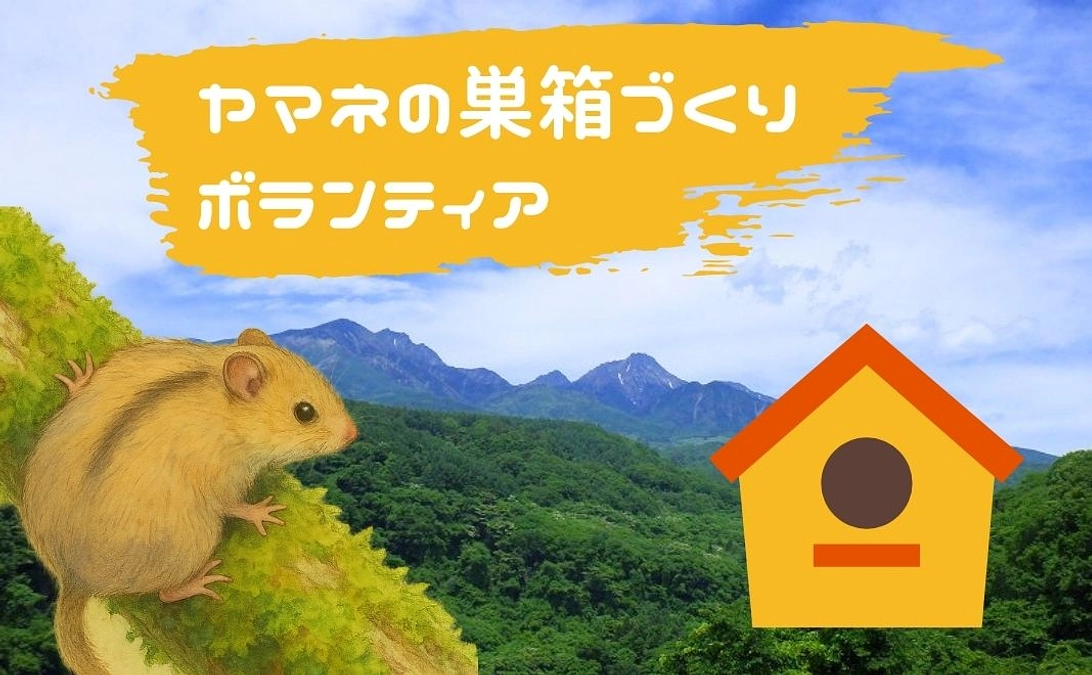 🌱ヤマネの巣箱づくり、今年も開催されました！