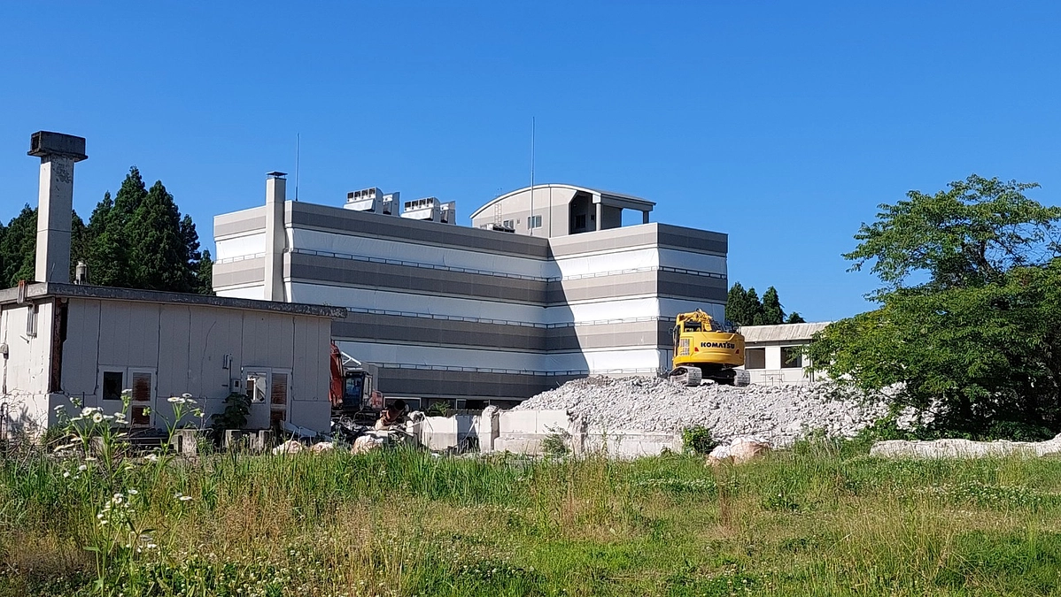 6月の様子です!　つばめが行き来してました!