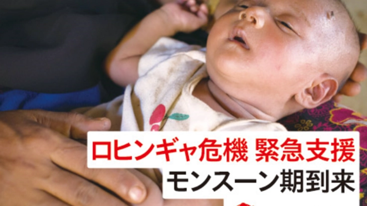 【緊急】危機迫るロヒンギャ難民の子どもたちを守りたい！