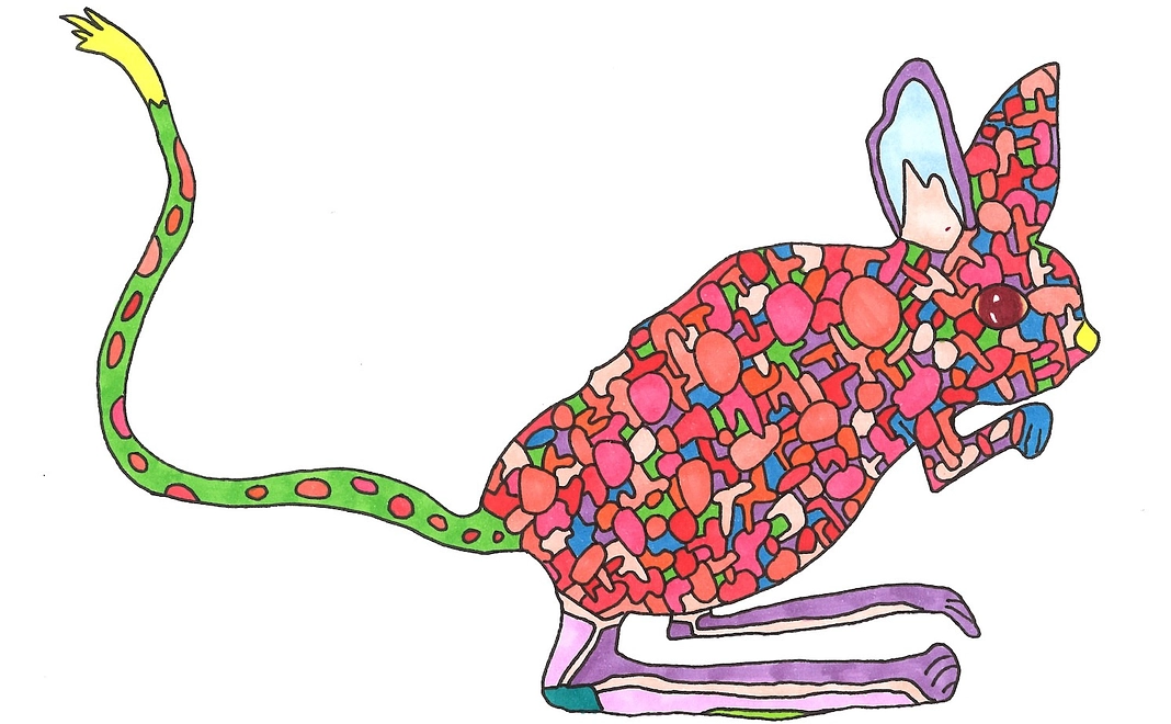 「内園明日美の発達障害あるあるカルタ」発行ちょびっと応援コース