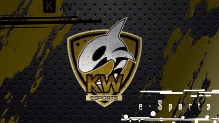 eSportsチームを法人化させて、持続可能なチームへ!