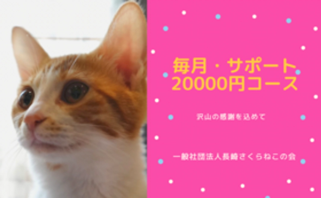 毎月サポート20000円コース