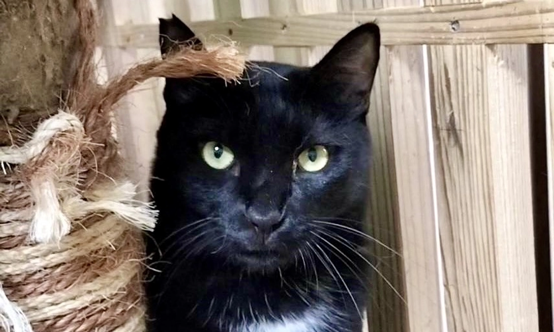 【もうすぐ200人突破へ！】皆さまからの応援が励みになります！〜応援メッセージのご紹介〜