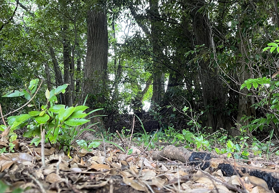 Youtube番組一月万冊に出演しました