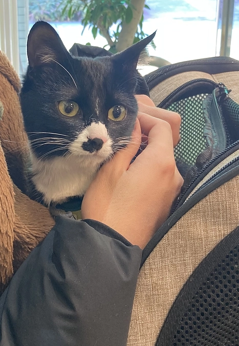 投薬後の定期検診