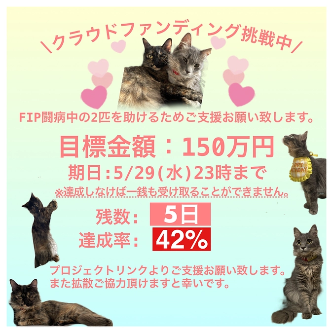 残り5日😰達成42%