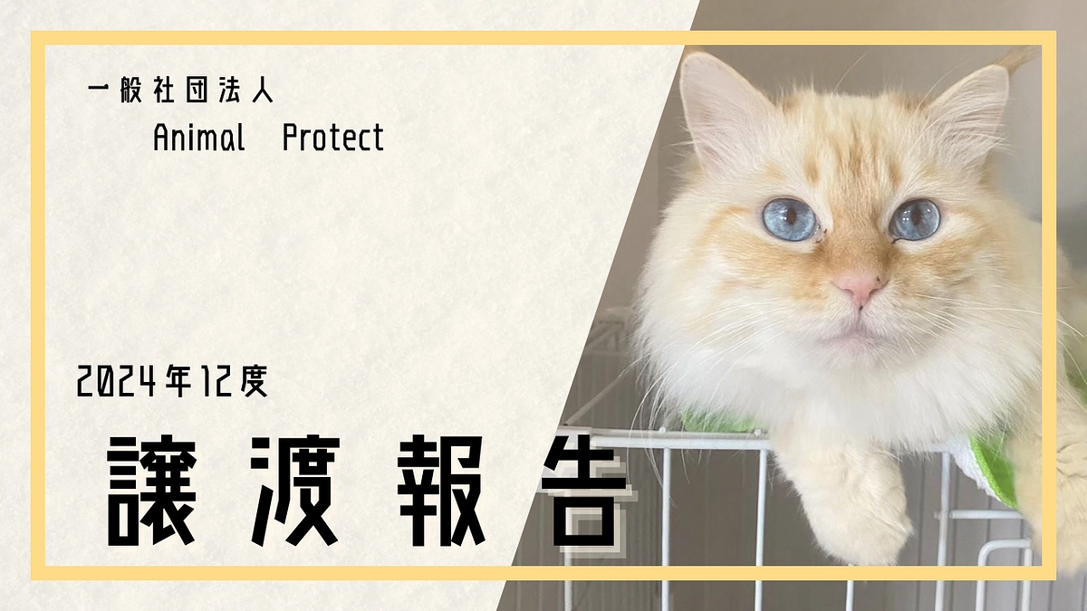 2024年度　12月譲渡報告