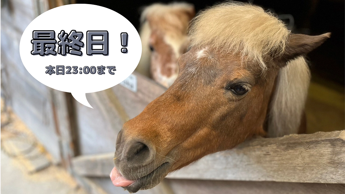 いよいよ最終日❣️