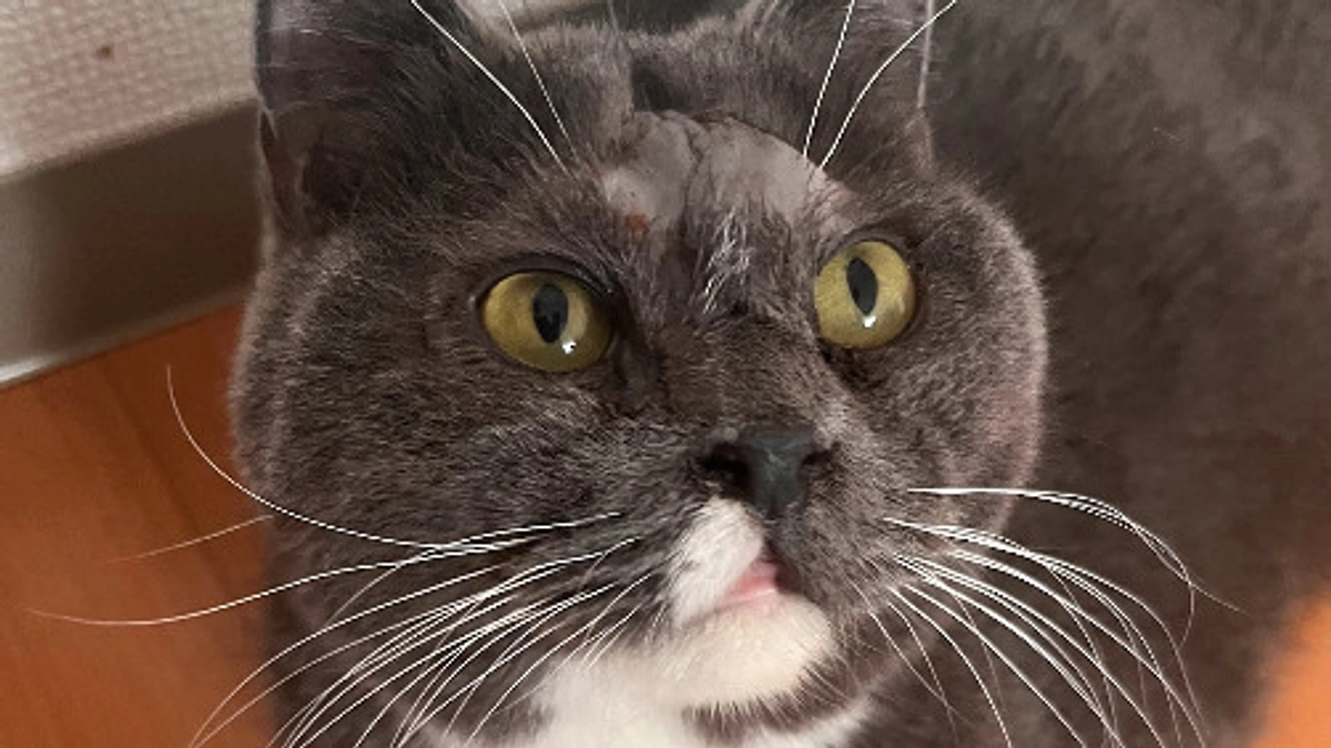 7月5日通院記録