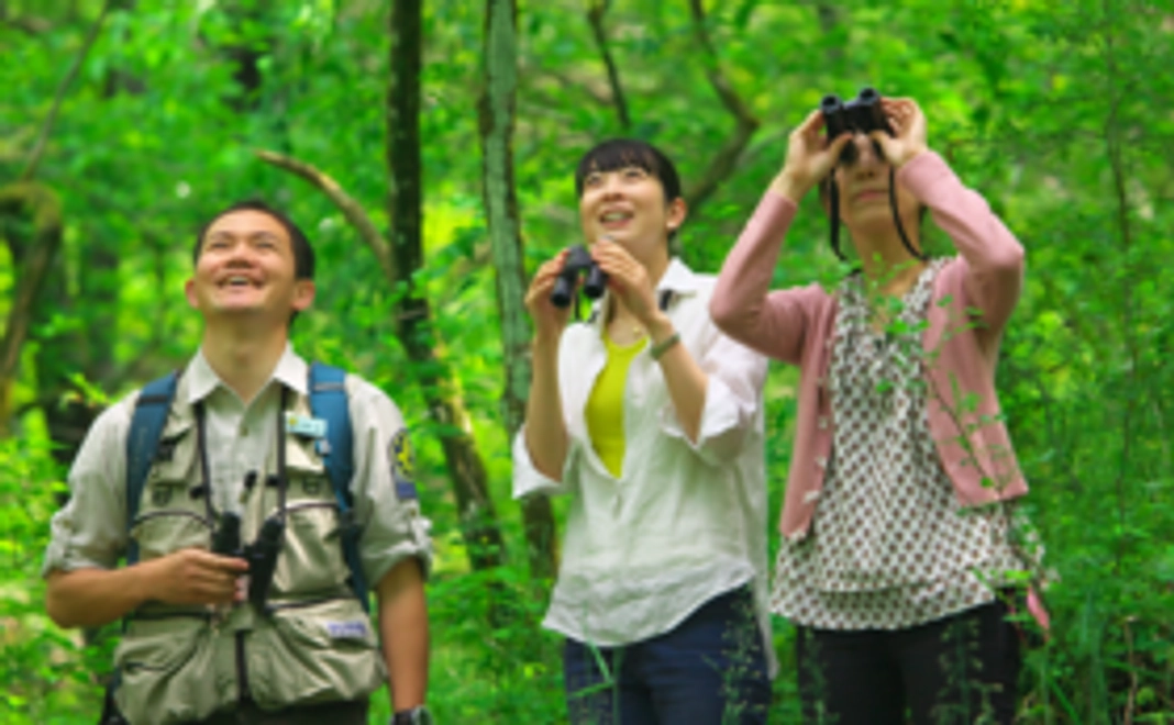 ピッキオの自然観察ツアーにご招待