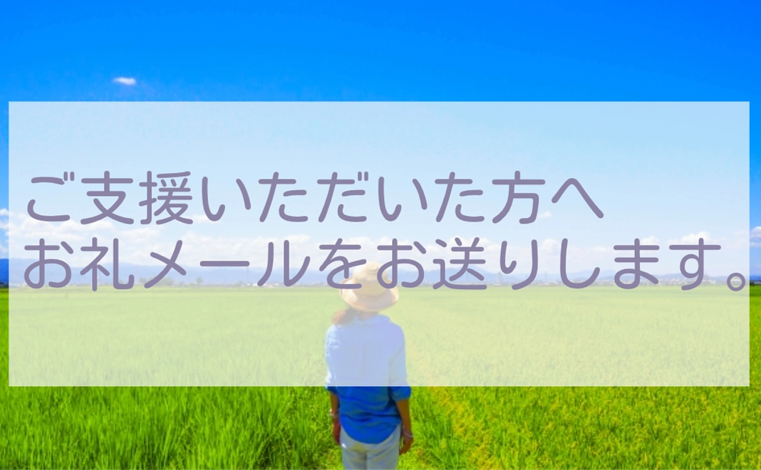 3,000+システム利用料