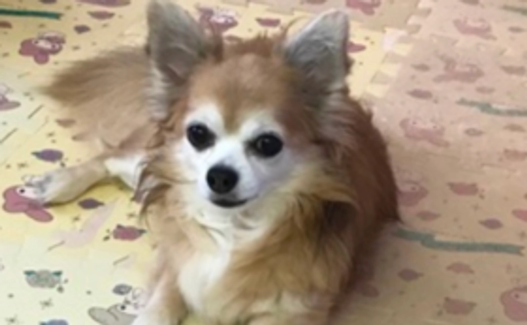 フィリップへの支援①