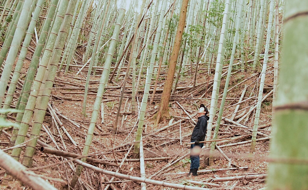 ひたすら応援！3000円プラン