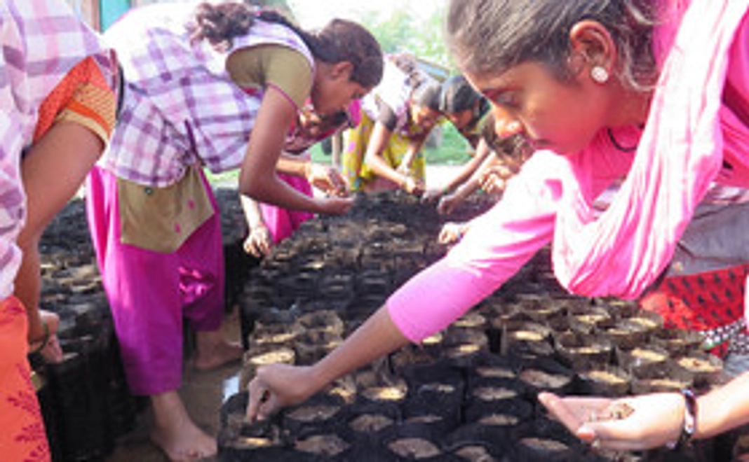【植樹オーナーコース】アーシャ希望学校 植樹オーナー&栄養満点モリンガパウダー100g