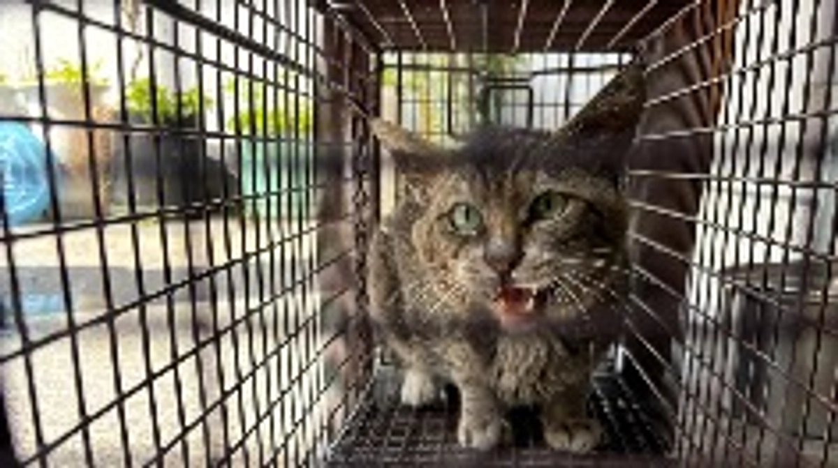 少し足を伸ばしてみました。