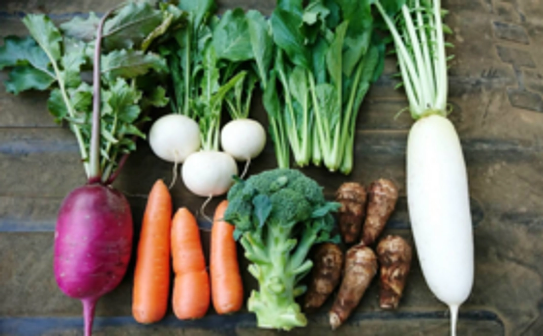 「かつのりな農園」の季節のお野菜セット（無農薬）