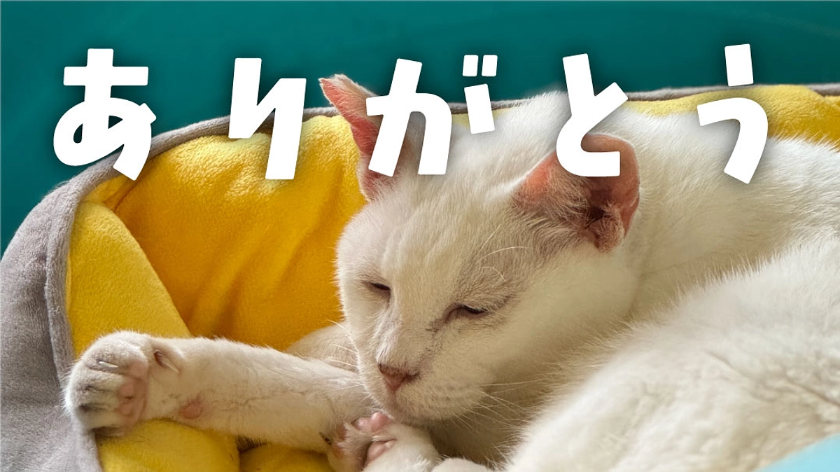 【御礼】たくさんのご支援、誠にありがとうございます