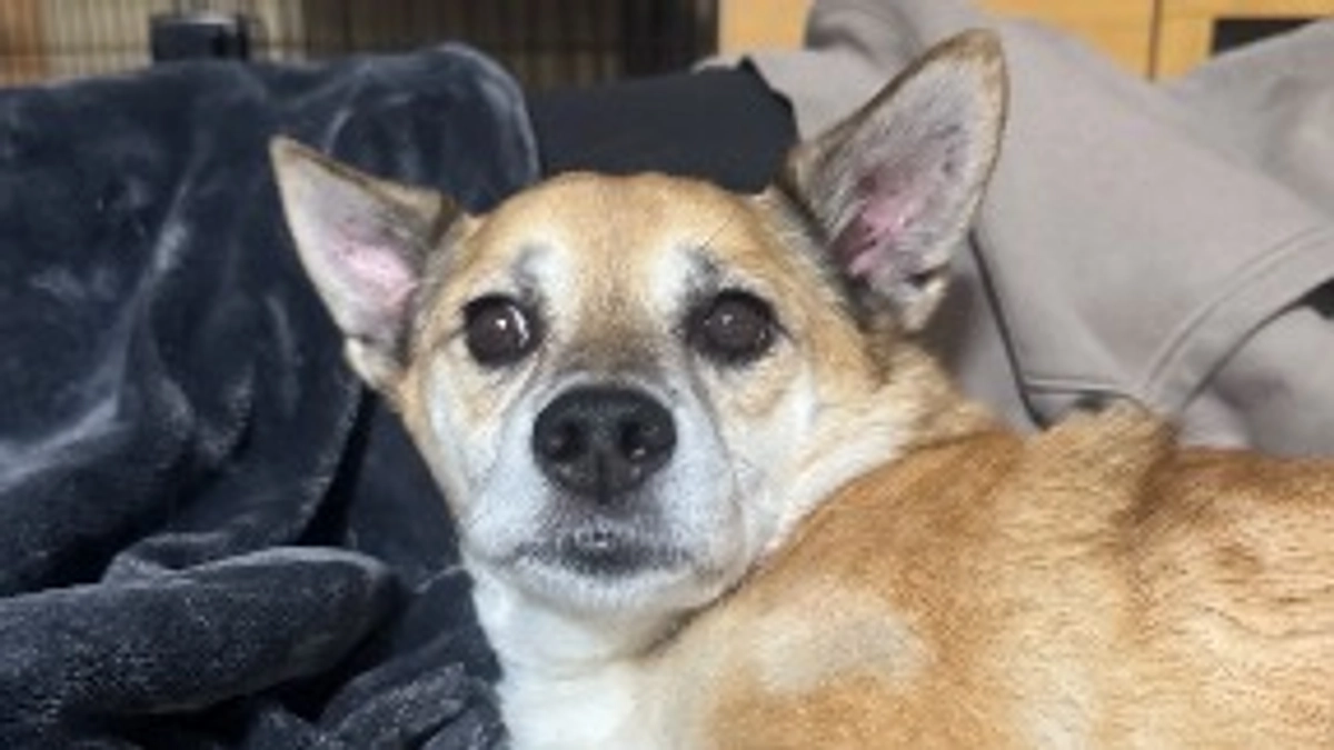 リターンメールを送らせていただきます🙇🏻‍♀️