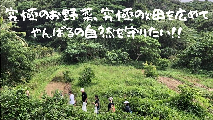 究極の畑を広めるために、やんばるの土地を買って学校をつくりたい！