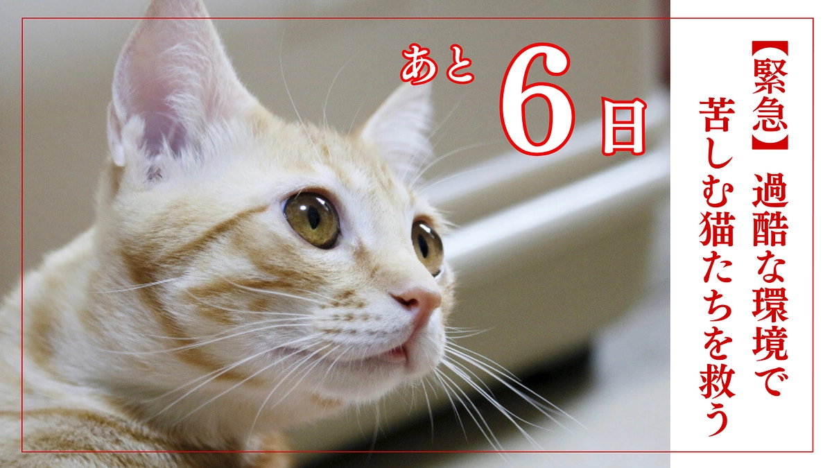 残り【6日】第一目標達成出来ました！！