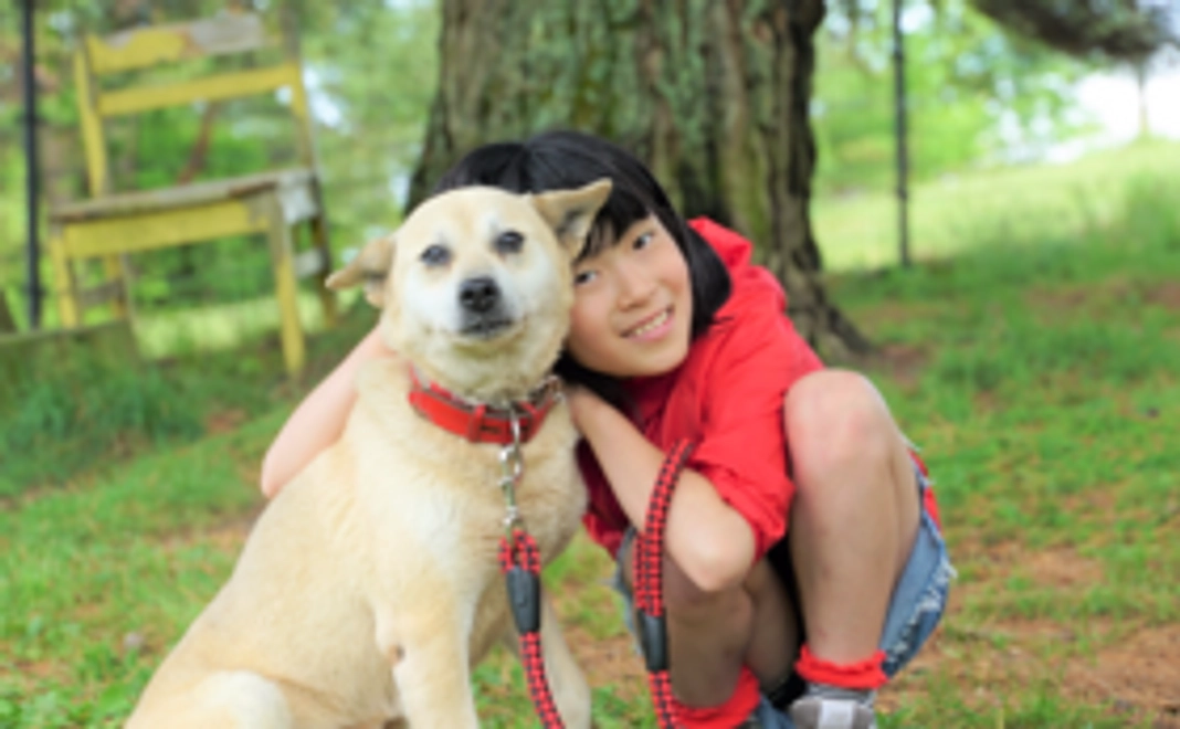 【1万円コース】低血糖アラート犬の育成を応援！1型糖尿病の子どもたちの思いを届けます。