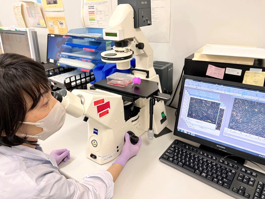 細胞を保存する前に培養作業を