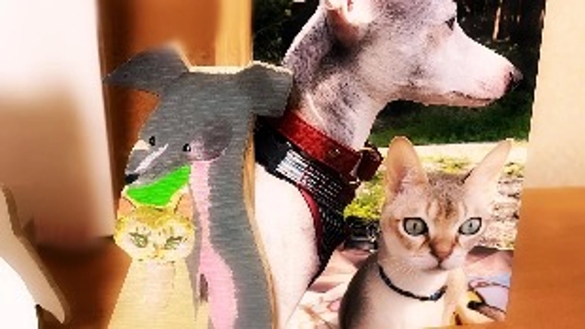 残り13日🗓️達成率12%⏰💦