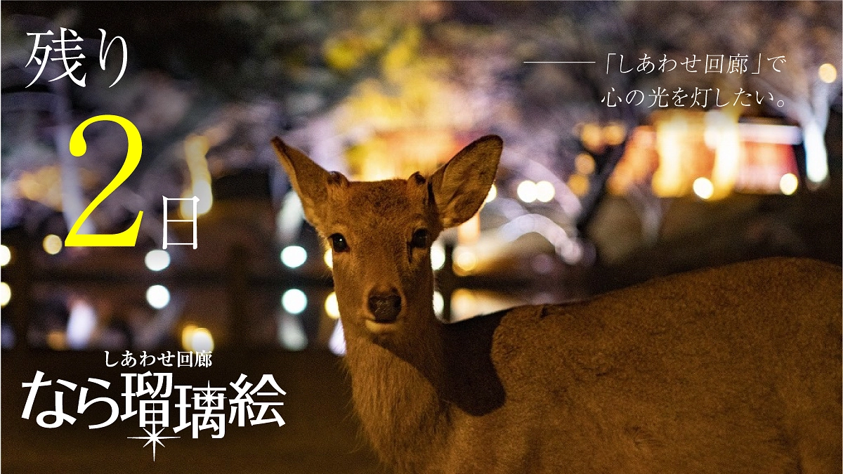 【残り2日】しあわせ回廊で心の光を灯したい —— 。